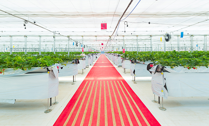 JAL Agriport