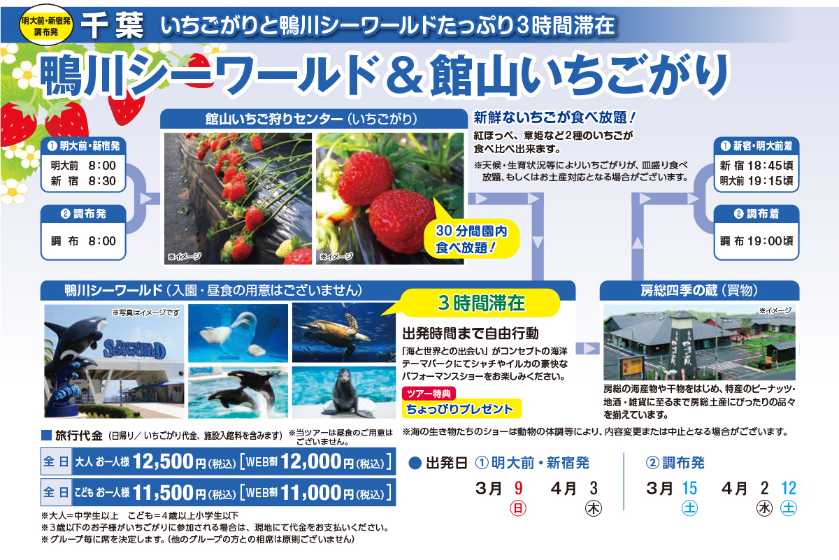 鴨川シーワールド&館山いちごがり