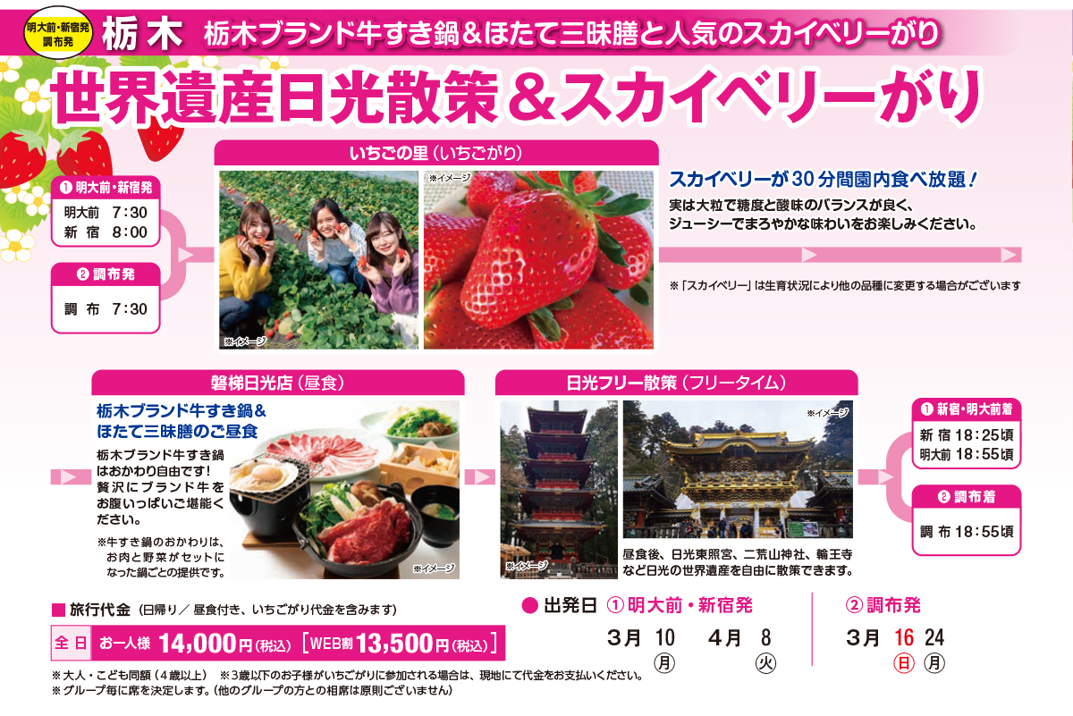 世界遺産日光散策&スカイベリーがり