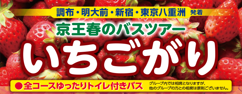 「春の日帰りバスツアー」いちごがり4コース
