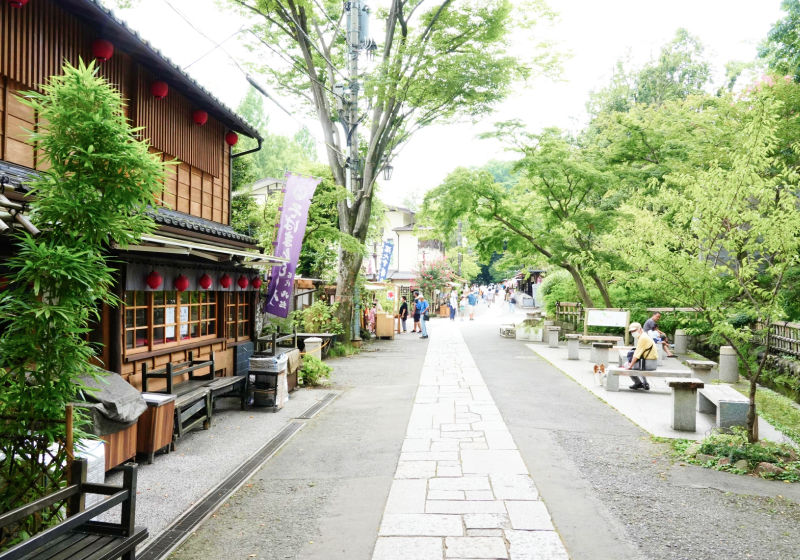 調布・つつじヶ丘～深大寺線